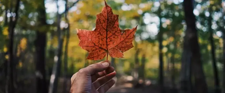 You may be given refugee protection in Canada if you meet the definition of a Convention refugee or if you are a person in need of protection.