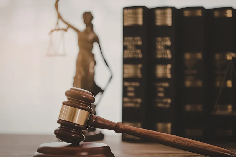 Immigration Appeals